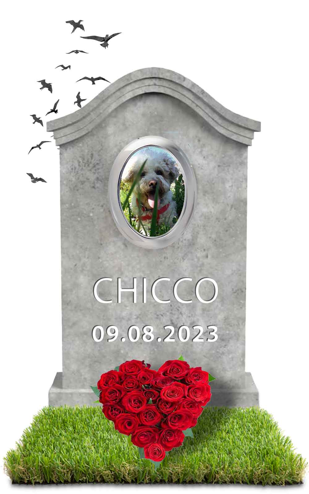 CHICCO 09.08.2023