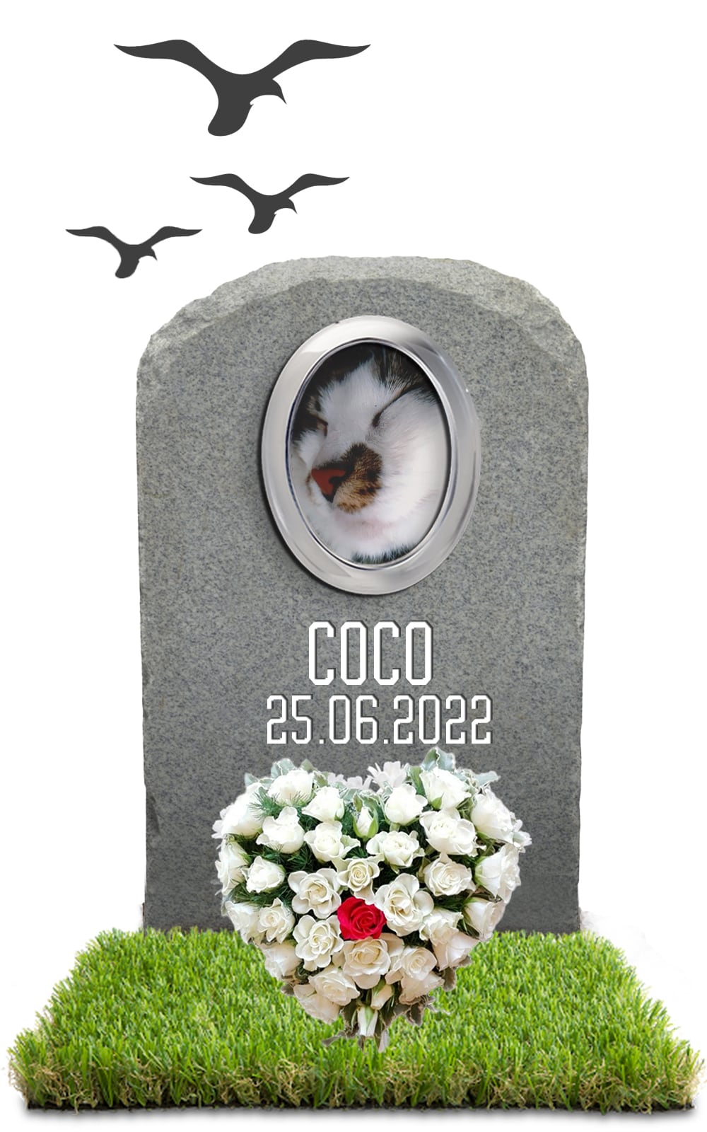 Coco 25.06.2022