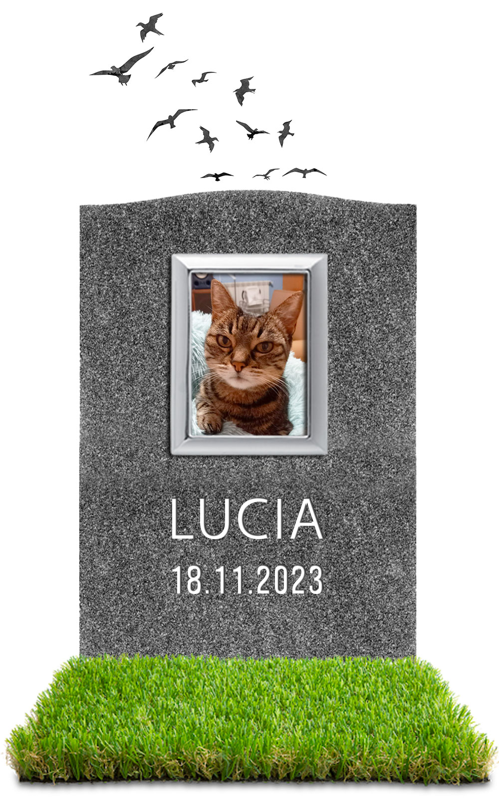 Lucia 18.10.2023