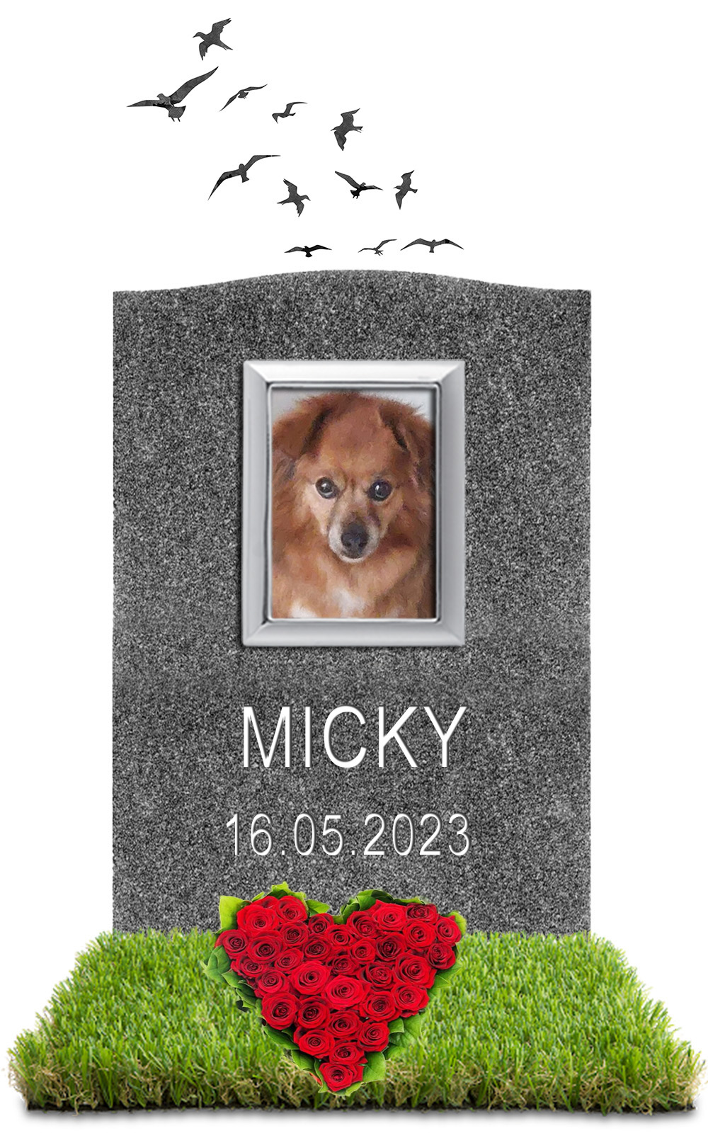 MICKY 16.05.2023