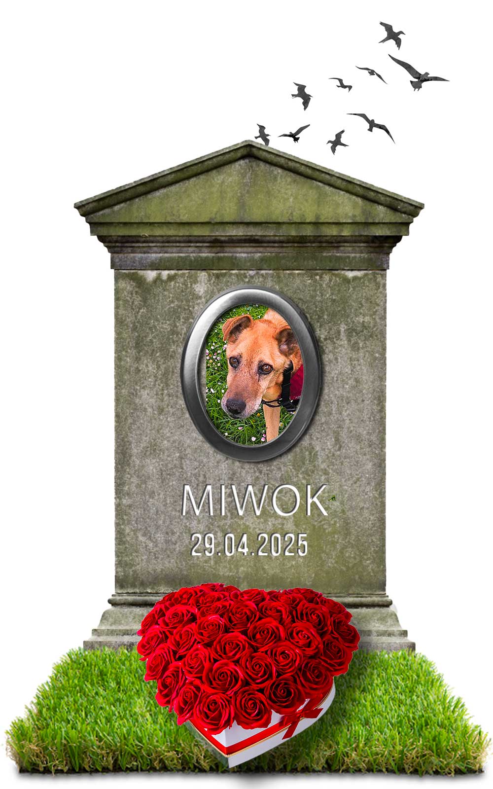 MIWOK 29.04.2025