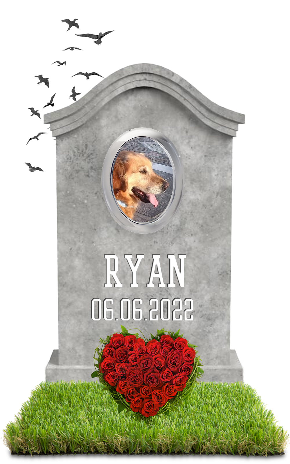 RYAN 06.06.2022