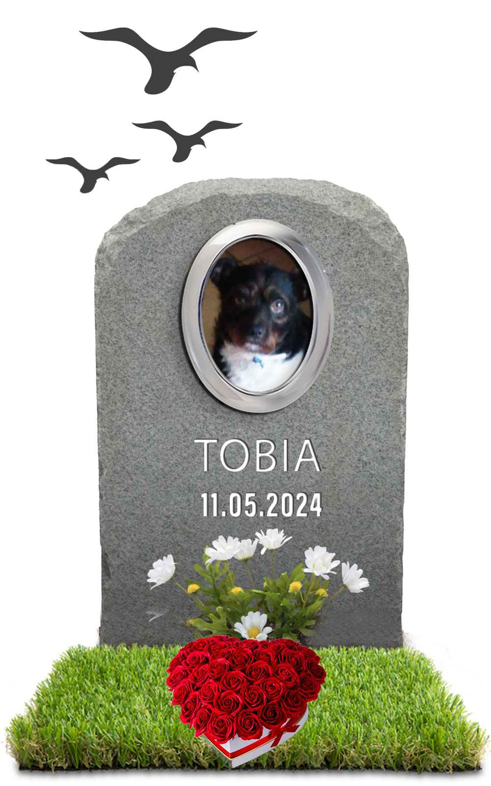 TOBIA 11.05.2024