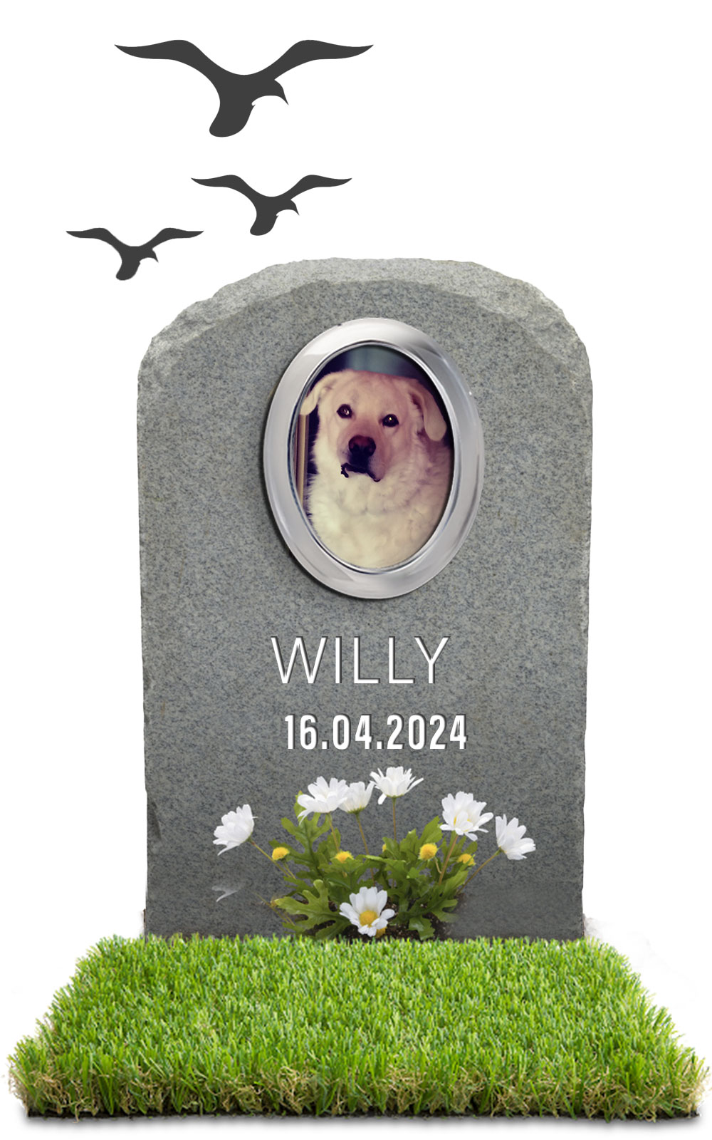 WILLY 16.04.2024