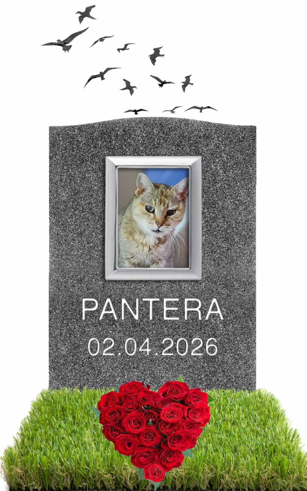 PANTERA 02.04.2026